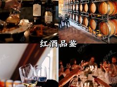 -北京张裕爱斐堡酒庄