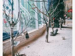 -花之城
