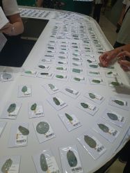 -荟华楼金店(中街店)