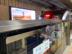 -大望路(地铁站)