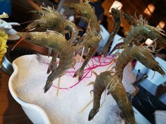 -尚海豆捞(乐虹坊店)