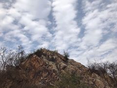-紫金山天文台