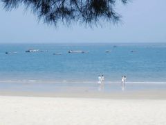 -坛南湾阿强农家乐.海鲜大排档老字号(福州地标美食店)