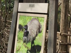 -常州淹城野生动物世界