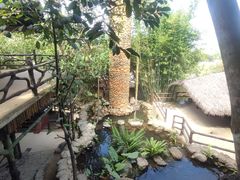 -海南槟榔谷黎苗文化旅游区