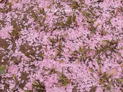 -郑州中国绿化博览园