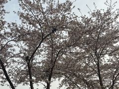 -幕燕滨江·燕子矶公园