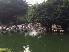 -九龙公园