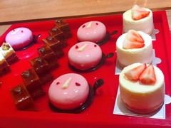-新发展亚太JW万豪酒店·福苑咖啡厅