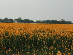 -中国天府农业博览园