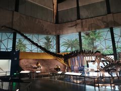 -湖南省地质博物馆