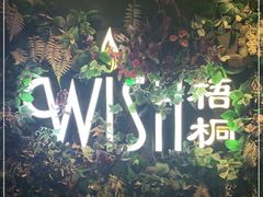 -梧桐