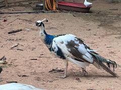 -西湖区图书馆(古墩路)