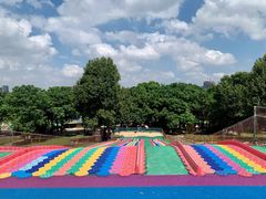 -松山湖梦幻百花洲