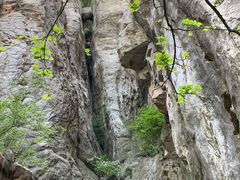 -嵩山少林文化旅游景区