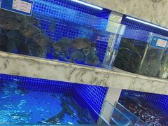 -香山湖渔家大院