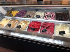 -Patagonia Chocolates(皇后镇店)