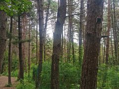 -帽儿山国家森林公园