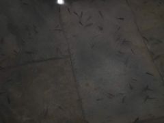 -兴芮温泉度假区