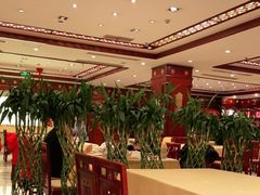 大堂-陈麻婆豆腐(春熙店)