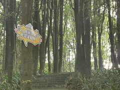 -广州市帽峰山景区