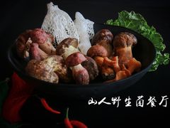 -山人野生菌餐厅