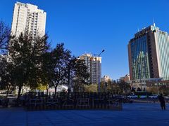 -T11生鲜超市(朝阳公园店)