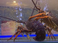 -红顶食府(滨湖九号店)