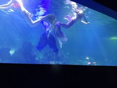 -重庆欢乐海底世界