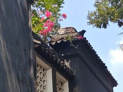 -东山雕花楼