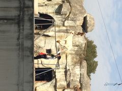 iphone_upload_pic-南昌动物园