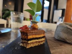 沙棘枸杞巧克力蛋糕-Tian品