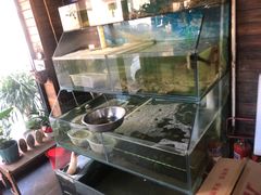 水产区-鲁前海沿儿