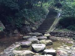 -北仑森林植物园