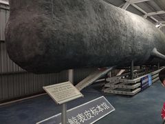 -厦门海底世界