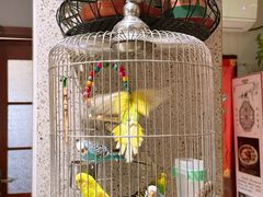 -观盐·盐帮菜(官园桥店)