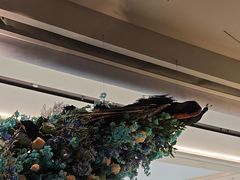 -雀蓝川菜(滨湖万象汇店)