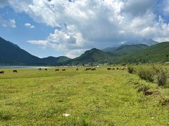 -玉湖村