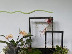 -杭州植物园