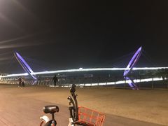 -南京眼步行桥