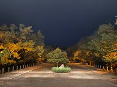 -府君山公园