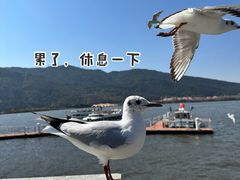 -滇池海埂公园