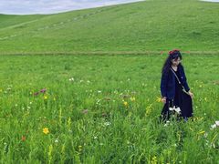 -乌拉盖芍药谷景区