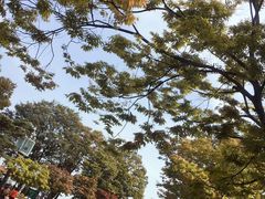 -景福宫