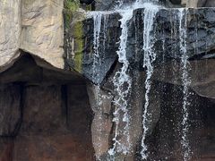 -海南热带野生动植物园