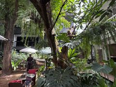 -Fern Forest Cafe