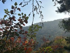-香山公园