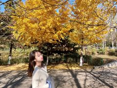 -长白岛森林公园