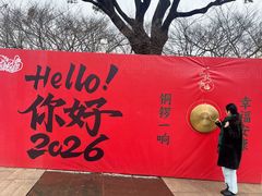 -青枫公园