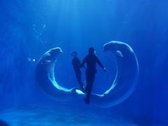 -多彩贵州城极地海洋世界